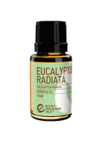 eucalyptus_radiata_front_900_619_opt