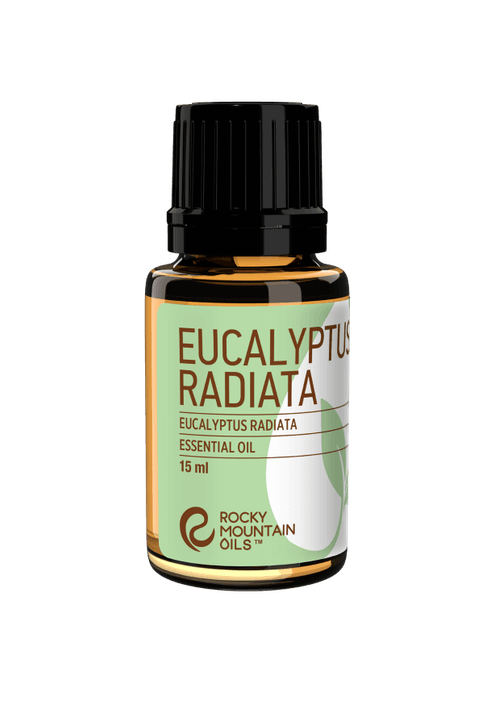 Eucalyptus radiata Essential Oil